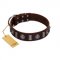 "Spiky Way" FDT Artisan Brown Leather Amstaff Collar with Silver-Like Decorations