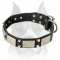 Fancy War Dog Leather Collar with Nickel Plated Decorations for Amstaff