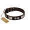 "Baller Status" FDT Artisan Brown Leather Amstaff Collar Adorned with a Set of Chrome Plated Studs and Plates