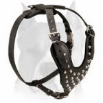 Amstaff Studded Leather Dog Harness with Pyramids