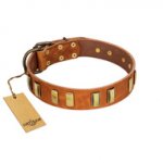 "Olive Slice" FDT Artisan Tan Leather Amstaff Collar with Engraved and Smooth Plates