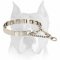 Amstaff Stainless Steel Prong Collar for Obedience Training