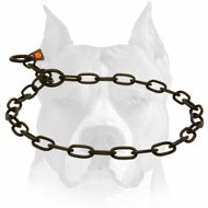 Amstaff Black Stainless Steel Chain Dog Collar Amstaff Black Stainless Steel Chain Dog Collar