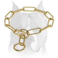 "Chain Trainer" Amstaff Chain Dog Collar Made of Brass "Chain Trainer" Amstaff Chain Dog Collar Made of Brass