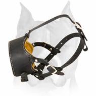Elegant Non-Barking Leather Muzzle for American Staffordshire Terrier