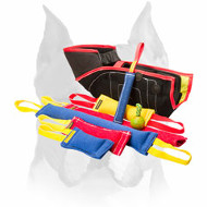 Amstaff French Linen Bite Set for Training Puppies Amstaff French Linen Bite Set for Training Puppies