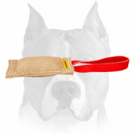 Amstaff Puppy Bite Tug for Training and Playing