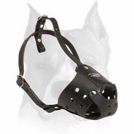 Walking Leather Muzzle for Amstaff  Walking Leather Muzzle for Amstaff