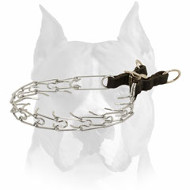 Incredibly Strong Amstaff Pinch Collar for Behavior Correction Incredibly Strong Amstaff Pinch Collar for Behavior Correction