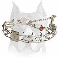 Amstaff Pinch Collar Made of Stainless Steel Amstaff Pinch Collar Made of Stainless Steel