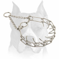 "Like a Mama's Pinch" Amstaff Chrome Plated Dog Collar "Like a Mama's Pinch" Amstaff Chrome Plated Dog Collar