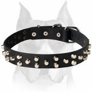 Exclusive Leather Dog Collar with 3 rows of small pyramids for Amstaff
