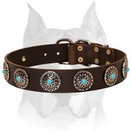 Fashionable Leather Dog Collar with Blue Stones for Amstaff