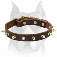 Top Quality Spiked Leather Amstaff Dog Collar