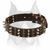 Sparkish Leather Dog Collar for Amstaff breed