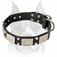 Fancy War Dog Leather Collar with Nickel Plated Decorations for Amstaff