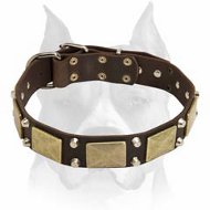 Glorious War Dog Leather Collar with Plates and Pyramids for Amstaff