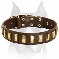 Fabulous Design Leather Dog Collar for Amstaff Breed