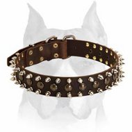 Amstaff Leather Dog Collar with Spikes and Studs