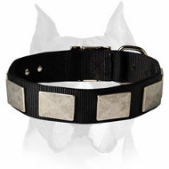 Medieval Style Nylon Dog Collar For Amstaff Breed