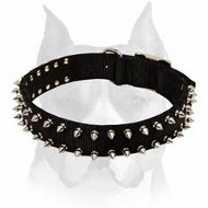Nylon Amstaff Dog Collar with Spikes