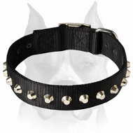 Stylish Design Wide Nylon Amstaff Dog Collar