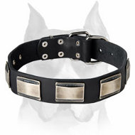 "Vogue Mania" Amstaff Leather Dog Collar with Nickel Plates