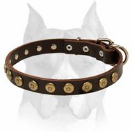 Excellent Design Leather Dog Collar Enriched With Brass Circles for Amstaff Breed