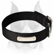 Practical 2 Ply Nylon Dog Collar with name tag for Amstaff