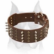 Outstanding Leather Dog Collar with spikes and studs for your Amstaff