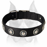 Conchos Designed Extra Wide Nylon Dog Collar for Amstaff