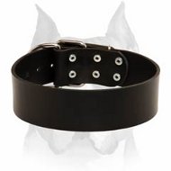 Extra Wide Classic Style Leather Dog Collar for Amstaff