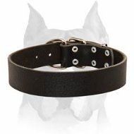 Wide and Solid Leather Dog Collar for Amstaff Breed