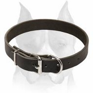 Classic Leather Dog Collar for Amstaff