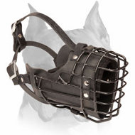Winter Walking Wire Cage Leather Dog Muzzle for Amstaff Breed