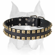 Amstaff Leather Dog Collar Decorated with Brass-Plated Dotted Studs Amstaff Leather Dog Collar Decorated with Brass-Plated Dotted Studs