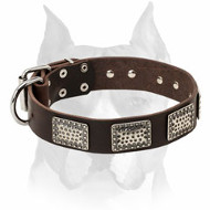 Amstaff Exquisite Design Decorated Leather Dog Collar Amstaff Exquisite Design Decorated Leather Dog Collar