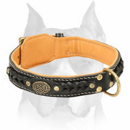 Amstaff Nappa Padded Braided Leather Dog Collar