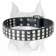 Amstaff Nickel Pyramids Leather Dog Collar for Walking and Basic Training Amstaff Nickel Pyramids Leather Dog Collar for Walking and Basic Training