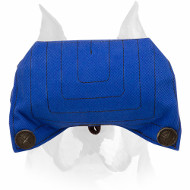 Amstaff Solid Puppy Bite Builder for Basic Bite Training Amstaff Solid Puppy Bite Builder for Basic Bite Training