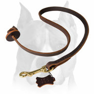 Amstaff Pocket Leather Dog Leash for Training
