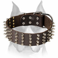 Amstaff Genuine Leather Dog Collar with 4 Rows of Spikes