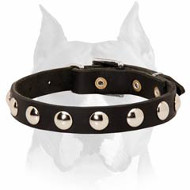 Amstaff Leather Dog Collar with Half-Ball Studs