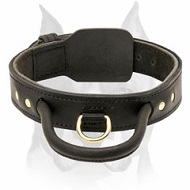 2 Ply Leather Dog Collar with Handle for Amstaff Protection Training  2 Ply Leather Dog Collar with Handle for Amstaff Protection Training