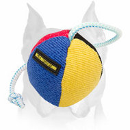 Amstaff Bite Training Puppy Toy with Nylon Rope