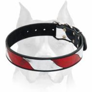 The USA National Colors Leather Collar For American Staffordshire