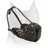 Compact Leather Muzzle for American Staffordshire Terrier