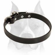 Master Leather Dog Collar For Amstaff