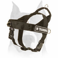 Search & Rescue NYLON DOG HARNESS for Amstaff