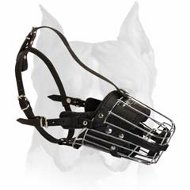 'No Mash' Law-and-Order Wire Cage Muzzle for Amstaff